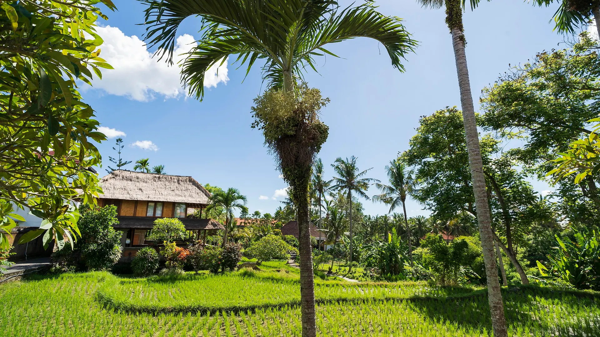 Agung Raka Villa Ubud Indonesien
