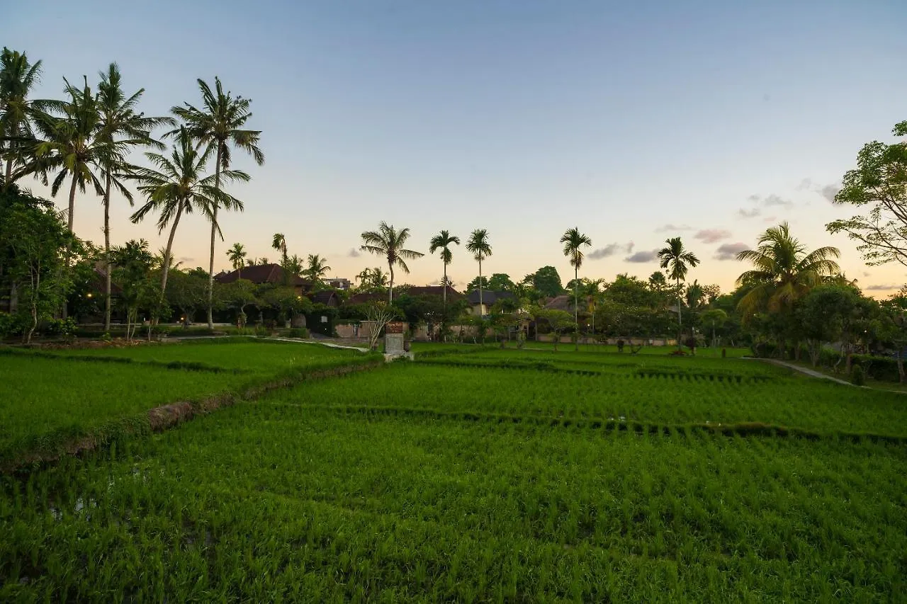 Amatara Agung Raka Hotel Ubud  Indonesia
